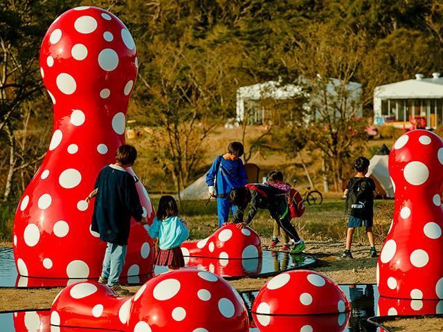 Go To トラベル対象 読売旅行 大宮発 ズワイガニ 熱々ステーキ食べ放題 松茸桐箱つめ放題へ行く日帰りバスツアー バス市場