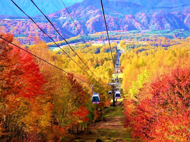 新宿発 ハンターマウンテン紅葉ゴンドラと紅の吊橋へ行くハンバーグプレートランチ付日帰りバスツアー