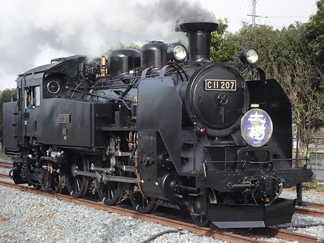 Go To トラベル対象 読売旅行 川越発 東武鉄道sl大樹と竹林の小径 若竹の杜とあしかがフラワーパークイルミネーション日帰りバスツアー バス市場